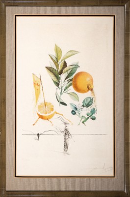 Salvador Dali, 1904-1989, "Pampelmousse erotique", 1969/70, aus Mappenwerk Floradali (Les Fruits), Ed. XII/XXXV, Kaltnadelradierungüber ...