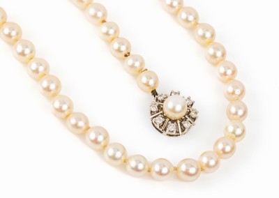 Zuchtperl-Collier mit 14 kt Gold Brillant- Schließe, WG 585/000, Akoyazuchtperlen, D. ca. 7.2 mm, Steckschließe mit 8 Brillanten zus. ca. 0.48 ct ...