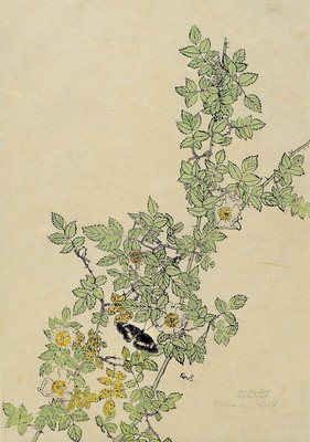 Werner von Scheidt, 1894 Grosbliederstroff -1984 Bad Bergzabern, 4 Holzschnitte, Holzschnitt auf drei Blättern: belebter Baum in voller Größe, ...