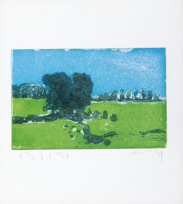 Klaus Fußmann, geb. 1938, Farbradierung, "Rheinwiesen bei Xanten", handsigniert, Alterssp., Platte 10x15 cm, unter Glas 32x25 cm