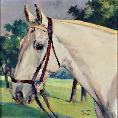 T.H. Veit, datiert 1932,, Pferdebildnis, Kopf eines Schimmels, rechts unten signiert und datiert 1932, Öl/Malpappe, 38x37 cm, Rahmen 52x50 cm