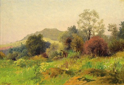 Carl Spitz, 1853 Karlsruhe-1937 Freiburg, Hügelige Wiesenlandschaft, Öl/Malkarton, links unten signiert, ca. 27x39cm, R. ca. 34.5x46.5cm