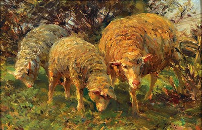 Georg Wolf, 1882 Niederhausbergen- 1962 Uelzen, grasende Schafe, re. u. signiert, Öl/Holz,ca. 20 x 30 cm, Prunkahmen best. 40x50 cm; Ausbildung an ...