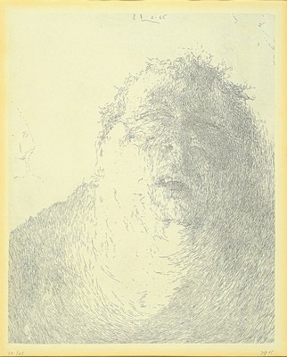 Horst Janssen, 1929-1995 Hamburg, Radierung,"Selbst am 29.3.65", 1965, Ed. 57/65, handsigniert und numm., 49x36 cm, unter PP undGlas ...