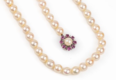Zuchtperl-Collier mit 14 kt Gold Rubin -Schließe, WG 585/000, 81 Akoyazuchtperlen,D. ca. 7.1-7.5 mm, Schließe mit 8 rundfacett. Rubinen zus. ca. ...
