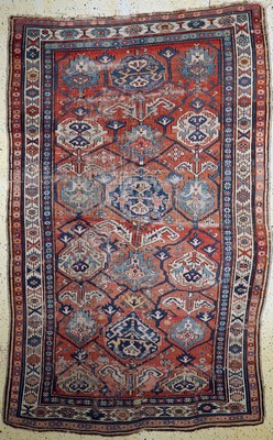Antiker Kazak, Kaukasus, um 1900, Wolle aufWolle, ca. 310 x 195 cm, EHZ: 4