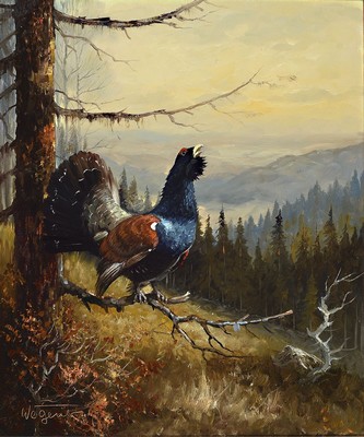 Adolf Wegener (wohl), 1891-1960, Schwarzwaldmaler, balzender Auerhahn, Öl/Lwd, links unten signiert, Rahmen 75x66 cm