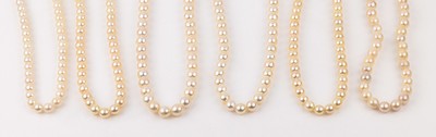 Konvolut 5 Zuchtperlenstränge und 1 Zuchtperlencollier, Kugelschließe 14 kt Gold, GG 585/000, Perldurchm. ca. 6-7 mm, L. der Stränge ca. 40 - 41 ...