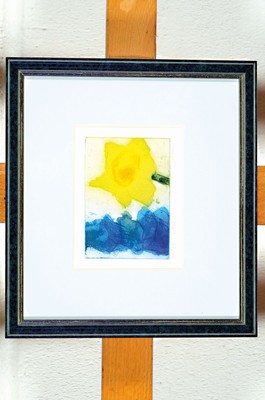 Klaus Fußmann, geb. 1938 Velbert, Rittersporn und Osterglocke, Farbradierung, handsign., num. 191/200, ca. 7x10cm, PP, u.Gl., R. ca. 21x23cm