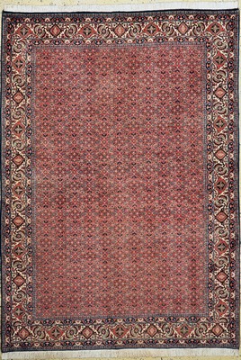 Bidjar Kork fein, Persien, ca. 50 Jahre, Korkwolle auf Baumwolle, ca. 240 x 170 cm, gereinigt, EHZ: 1-2