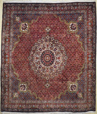 Bidjar Kork fein, Persien, ca. 50 Jahre, Korkwolle auf Baumwolle, ca. 290 x 252 cm, EHZ: 2