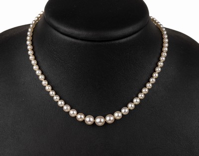 Perl-Collier um 1910, Schließe 14 kt Gold, GG 585/000, Schauseite platiniert, 2 Altschliffdiamanten zus. ca. 0.10 ct Weiß/p, 103 Zuchtperlen D. ...