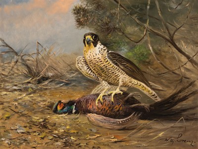 Willy Lorenz, 1901 Köln-1981, deutscher Tier- und Jagdmaler, Falke mit erlegtem Fasan, rechts unten signiert, Öl/Lwd, 60x80 cm, Rahmen 80x100 cm