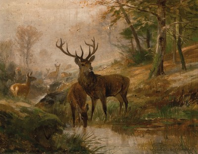 Anton Schmitz, 1855- 1935, Hirsch mit Herde in Waldlandschaft, feine Wiedergabe des Morgendunstes, re. unten signiert, Reinigung dringend empfohlen, ...