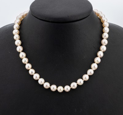 Zuchtperl-Collier, endlos, Akoyazuchtperlen, D. ca. 7.3-7.5 mm, L. ca. 100 cm