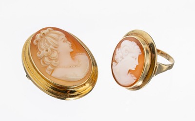 14 kt Gold Kamee-Konvolut, GG 585/000, best. aus: 1 Ring, RW 49, und 1 Brosche, auch als Anhänger tragbar, jeweils mit ovaler Muschelkamee, ...