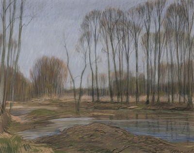 Werner Brand, 1933 Löbau-2021 Hochstadt, Altrheinlandschaft bei Speyer, 1989, signiert,Bleistift und Kreide auf Papier, unter Glas gerahmt 65x75 cm