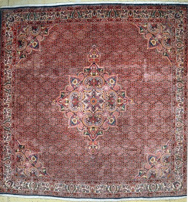 Bidjar, Persien, Mitte 20.Jhd., Wolle auf Baumwolle, ca. 304 x 304 cm, EHZ: 2 (verblasst).
