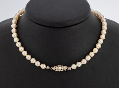 Zuchtperl-Collier mit 14 kt Gold Schließe, GG 585/000, Akoyazuchtperlen im Verlauf, D. ca. 5.5-9.1 mm, Steckschließe, L. ca. 65 cm