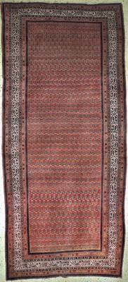 Serabend"Kelley"antik, Persien, um 1900, Wolle auf Baumwolle, ca. 406 x 176 cm, EHZ: 3