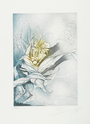 Rüdiger Brassel, geb. 1946 Siegburg, Blumen, Farbradierung, sign. und dat. 88, num. 31/150, ca. 28x20cm, PP, u.Gl., R. ca. 55x45cm