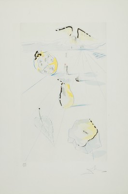 Salvador Dali, 1904-1989, Radierung auf Arches, "Die Früchte des Tales" aus der Serie "Das Hohe Lied Salomon", 1971, mit Pochoir ...