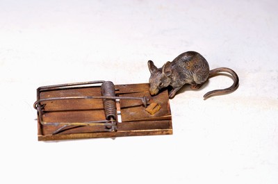 Wiener Bronze, 2.H.20.Jh., Maus stibitzt Käse von der Mausefalle, sign. Bergmann, bunt staffiert, L.ca. 12 cm