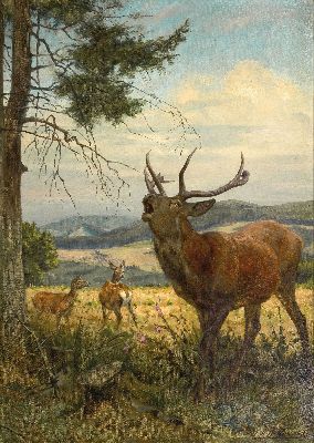 Louis Henry Weston Klingender, 1861 Liverpool -1950 GB, röhrender Brunfthirsch am Waldrand, rechts unten signiert und datiert 1912, Öl/Lwd, 116x83 ...