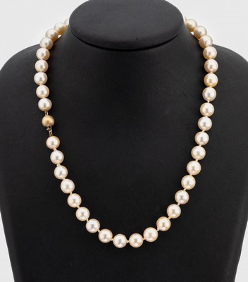 Zuchtperl-Collier mit 14 kt Gold Schließe, GG 585/000, cremefarb. Akoyazuchtperlen, D. ca. 8.9-9 mm, nat. Merkmale, L. ca. 45 cm, Kugelschließe