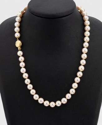 Zuchtperl-Collier mit 14 kt Gold Schließe, GG 585/000, cremefarb. Akoyazuchtperlen, D. ca. 8.1-8.3 mm, nat. Merkmale, L. ca. 45 cm