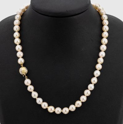 Zuchtperl-Collier mit 14 kt Gold Brillant- Schließe, GG/WG 585/000, cremefarb. Akoyazuchtperlen, D. ca. 8-8.3 mm, Brillanten zus. ca. 0.05 ct ...