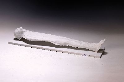 Thomas Duttenhoefer, geb. 1950, für Goebel, "Liegende", Ed. 8/20, Biskuitporzellan, L. 45 cm
