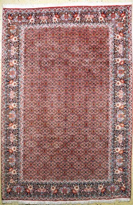 Bidjar fein, Persien, Ende 20.Jhd, Korkwolle auf Baumwolle, ca. 305 x 207 cm, gereinigt, EHZ: 2