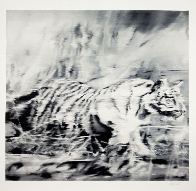 Gerhard Richter, geb. 1932, Offsetdruck mit Gefälligkeitssignatur, Motiv "Tiger" nach dem Gemälde von 1965, unbekannte Auflage, ca. 70x70 ...