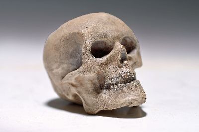 Wiener Bronze, Totenkopf, sign. Bergmann, polychrom staffiert, ca. 4.5x6x4 cm