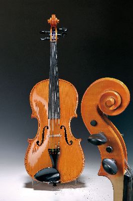 Bratsche, Baujahr 2007, Fichtendecke, ganzer Ahornboden, leichte Ansprache und gute Klangfarbe, L. 39cm, in neuem Kasten