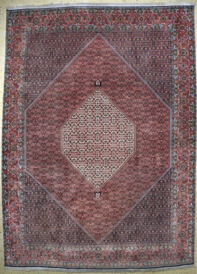 Bidjar Kork fein, Persien, Ende 20.Jhd, Korkwolle auf Baumwolle, ca. 350 x 258 cm, EHZ: 2