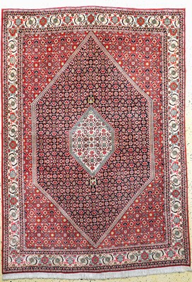 Bidjar fein, Persien, Ende 20.Jhd, Korkwolle auf Baumwolle, ca. 245 x 170 cm, EHZ: 1-2