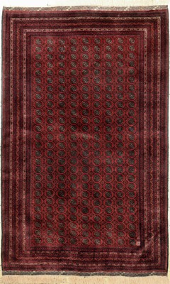 Khalmohammadi fein, Afghanistan, Ende 20.Jhd, Korkwolle auf Wolle, ca. 200 x 130 cm,EHZ: 2