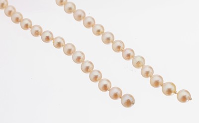 Konvolut 2 Akoyazuchtperl-Stränge, 1 x 57 Perlen, D. ca. 7 mm, L. ca. 46 cm, und 1 x 60 Perlen, D. ca. 7.1-7.3 mm, L. ca. 49 cm, jeweils ohne ...