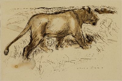 Otto Dill, 1884 Neustadt-1957 Bad Dürkheim, aquarellierte Tuschezeichnung, schreitende Löwin, signiert, Ausschnitt PP 22x33 cm, qualitätvoll ...