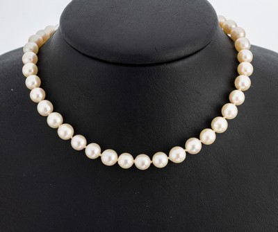 Zuchtperl-Collier, endlos, Akoyazuchtperlen, D. ca. 7.2 mm, L. ca. 86 cm