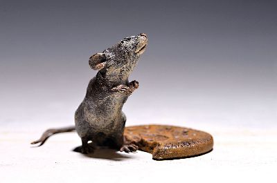 Wiener Bronze, Maus mit Biskuit, sign. Bergmann, bunt staffiert, 6x6x8 cm
