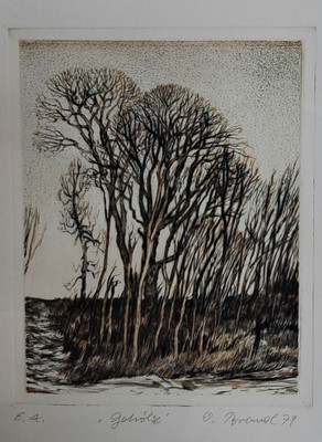 Werner Brand, 1933 Löbau-2021 Hochstadt/Pfalz, 3 Radierungen: Woogbach, Farbradierung, sign. und bez. e.a., ca. 27x19cm, PP, u.Gl., R. ca. 70x50cm; ...