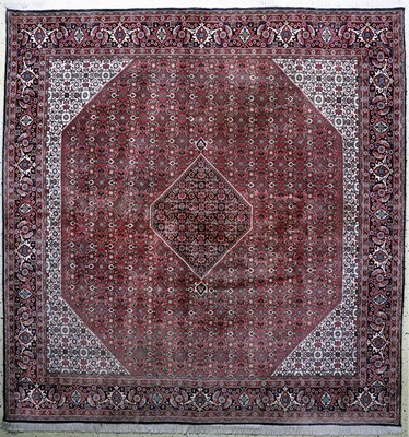 Bidjar fein, Persien, Ende 20.Jhd, Korkwolle auf Baumwolle, ca. 255 x 246 cm, EHZ: 2