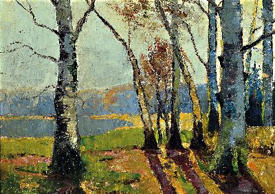 Conrad Wimmer, 1844-1905 München, Blick durch herbstliche Bäume auf einen See, Öl/Lwd, links unten signiert und dat. 04, ca. 48x68cm, R. ca. ...