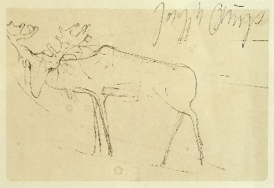 Joseph Beuys, 1921 Krefeld-1986 Düsseldorf, Offset, "Elch", 1983, handsigniert, unter Glasgerahmt 25x28 cm