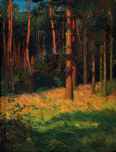 Carl Fries, 1876 Frankfurt/Main-?, "Waldinterieur" so auf altem Etikett bez., rechts unten signiert und datiert 1906, Öl/Lwd, ungerahmt ...
