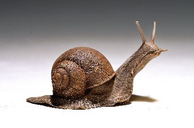 Wiener Bronze, signiert Franz Bergmann, Schnecke, Bronze, farbig staffiert, naturalistische Darst. einer Weinbergschnecke, H. 4,5 cm