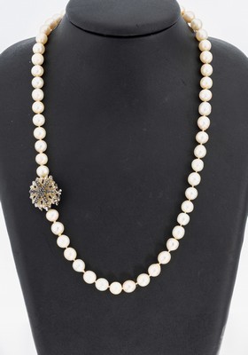Zuchtperl-Collier mit 14 kt Gold Saphir- Schmuckschließe, WG 585/000, l. unrunde Akoyazuchtperlen, D. ca. 7.5-8 mm, Kastenschloss mit ...